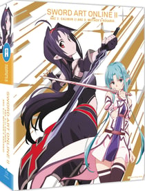 Sword Art Online - Saison 2, Arc 2 & 3 : Calibur + Mother's Rosario (SAOII)