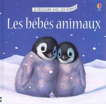 Bebes animaux