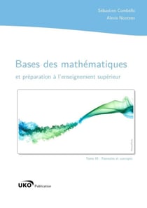 Bases des mathematiques et preparation a l'enseignement superieur : formules et concepts