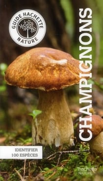 Champignons