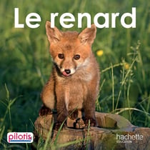 Lecture CP - Collection Pilotis - Le Renard - Album - Edition 2019
