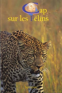 Les felins