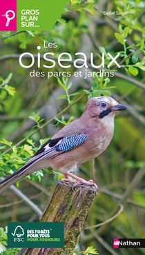 Gros plan sur : les oiseaux des parcs et jardins