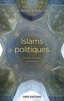 Islams politiques - les fondements idéologiques
