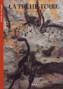 La préhistoire - arrêts/images