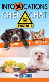 Intoxications chien chat - savoir les éviter