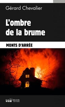 Le chat catia mène l'enquête ! - l'ombre de la brume