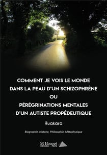 Comment je vois le monde dans la peau d un schizophrene ou peregrinations mentales d un autiste prop