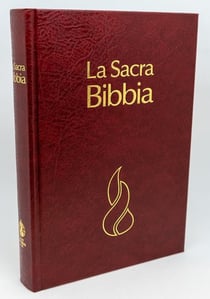 Bibbia Nuova Riveduta : Copertina rigida bordeaux
