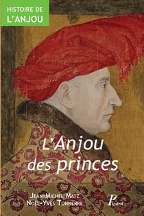 Histoire de l'Anjou Tome 2 - l'Anjou des princes