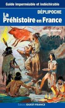 Deplipoche  - prehistoire de la france