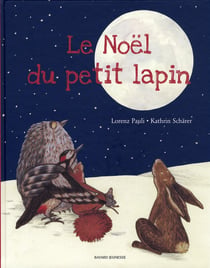 Le noël du petit lapin