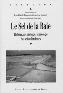 Le sel de la baie - histoire, archéologie, ethnologie des sels atlantiques
