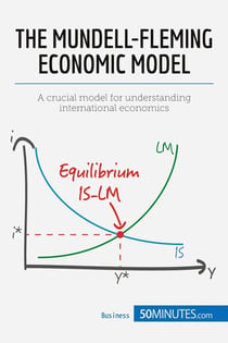 Mundell-Fleming model : achieving macroeconomic equilibrium