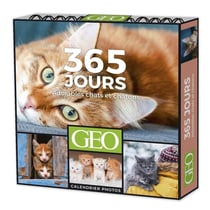 365 jours : Adorables chats et chatons - Calendriers Geo