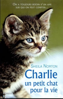 Charlie, un petit chat pour la vie