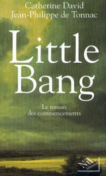 Little bang