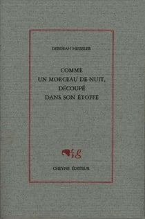 Comme un morceau de nuit, découpé dans son étoffe