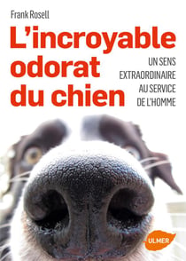 L'incroyable odorat des chiens - un outil extraordinaire au service des hommes