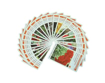 Planti'cartes - jeu de 62 cartes