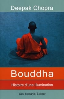 Bouddha - histoire d'une illumination