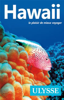 Hawaii : Le Plaisir De Mieux Voyager