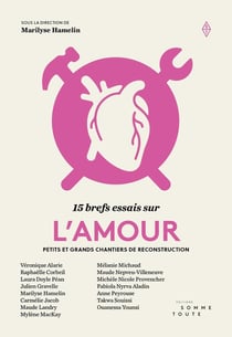 15 brefs essais sur l'amour : Petits et grands chantiers de reconstruction