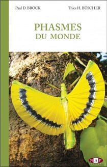 Phasmes du monde