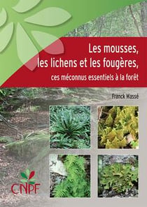 Les mousses, les lichens et les fougères - ces méconnus essentiels à la forêt