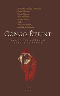 Congo éteint : Variations minières autour de Kasulo
