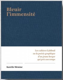 Bleuir l'immensité - les cahiers Gabbud ou la poésie graphique d'un berger qui prit son temps