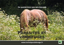 En savoir plus sur nos équidés : parasites et vermifuges