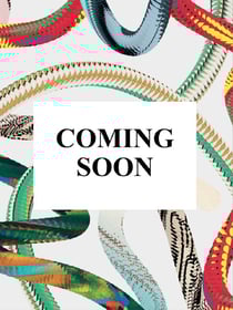 Walt Disney's Donald Duck. Toute l'histoire. 45th Ed.