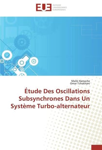 Etude des oscillations subsynchrones dans un systeme turbo-alternateur