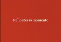 Nello stesso momento / at the same time - alessandra spranzi