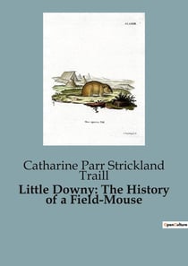 Little Downy: The History of a Field-Mouse : A Moral Tale of Adventure and Consequence