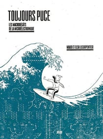 Toujours puce : Les macrodégâts de la microélectronique