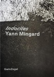 Yann Mingard indociles