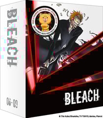 Bleach - Partie 6