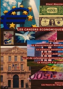 Les cahiers economiques Tome 1 à Tome 5 - le gouvernement mondial, la création monétaire, la dette publique, la loi de refondation économique, la solution à la crise