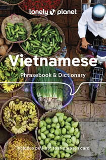 Vietnamese : phrasebook & dictionary (9e édition)