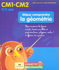 Mieux comprendre la geometrie