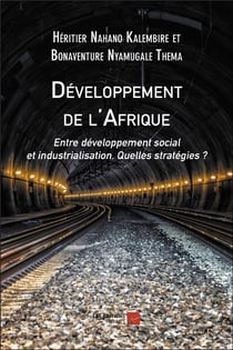 Développement de l'Afrique - entre développement social et industrialisation : quelles stratégies ?