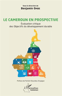 Le Cameroun en prospective - évaluation critique des objectifs du développement durable