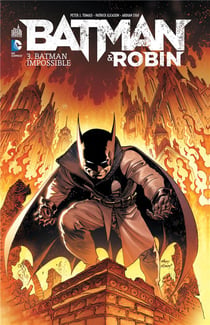 Batman And Robin T03