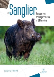 Le sanglier - rencontres privilégiées avec la bête noire