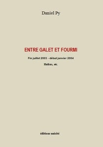 Entre galet et fourmi - fin juillet 2003 - début janvier 2004 - haïkus, etc.