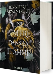Une lumière dans la flamme
