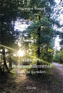 Flâneries et émerveillements : Luxe du quotidien