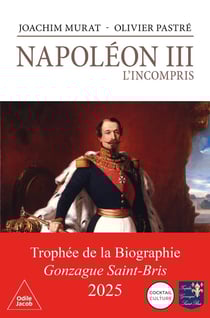 Napoléon III, l'incompris